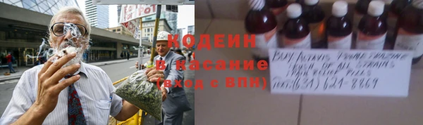 дурь Алзамай