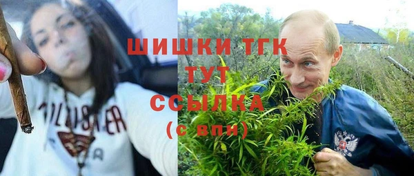 дурь Алзамай