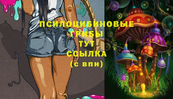 соль курить ск Алексеевка