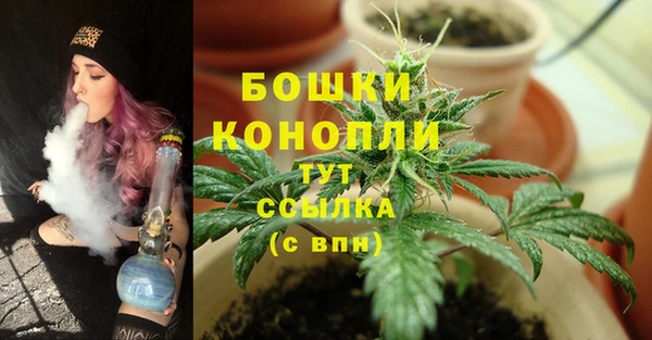 шишки Ельня