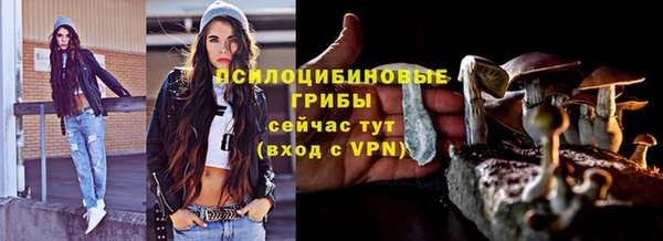дурь Алзамай