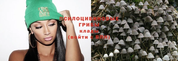a pvp Алексин